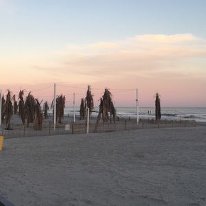 Meet your Posher, Ann